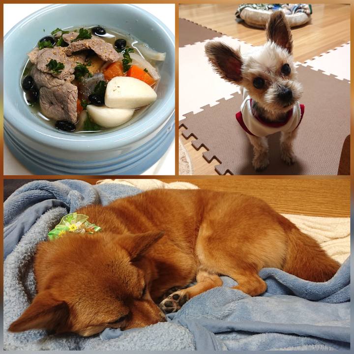 599fe2fb 1876 4dfc b37a ede62c626594 1606127300826