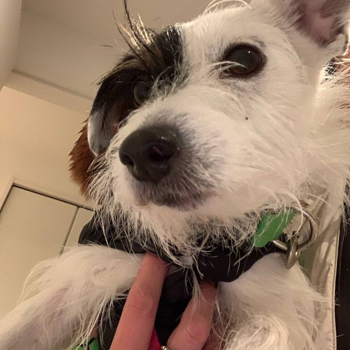 59a003c5 6828 433c b39b 18133e3f72af 1580218494301