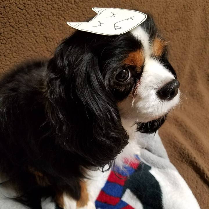 59a00426 46e2 42d0 95d3 af624eb84329 1517662353499