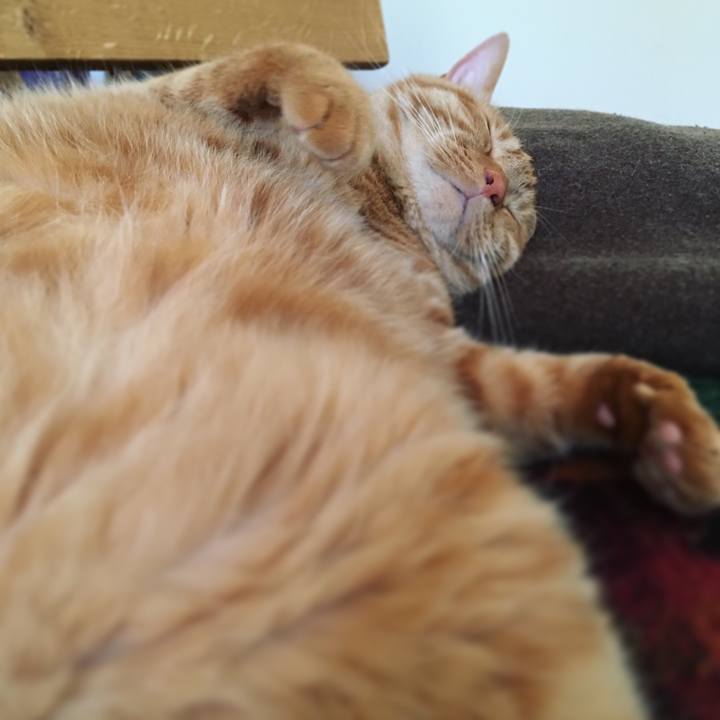 59a00483 5f1d 4a15 92db dd1af5354e14 1558138162437