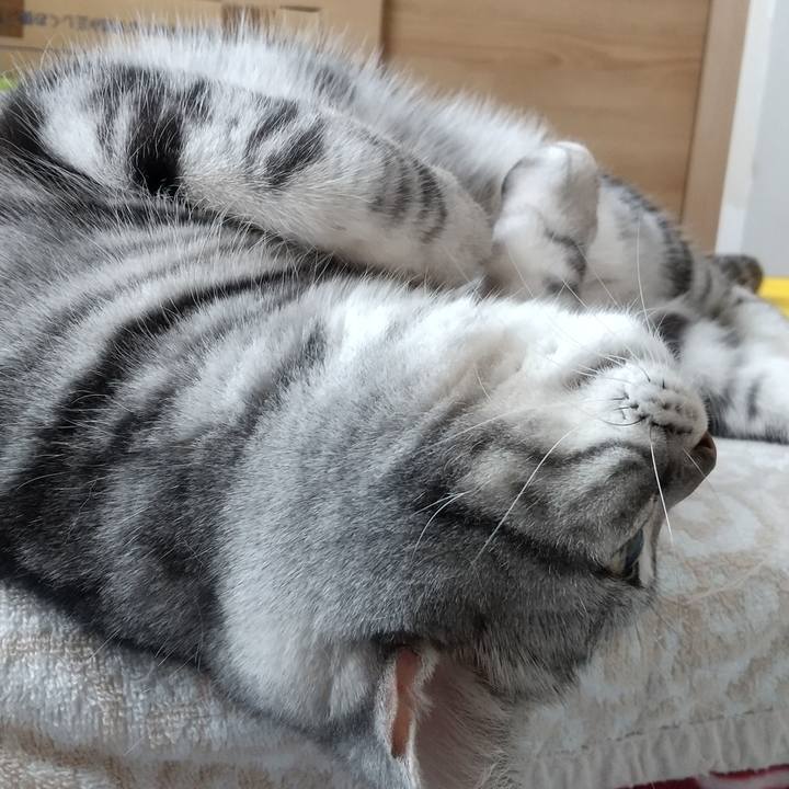 59a02ea2 183c 4261 a495 db04221ed994 1676708781428