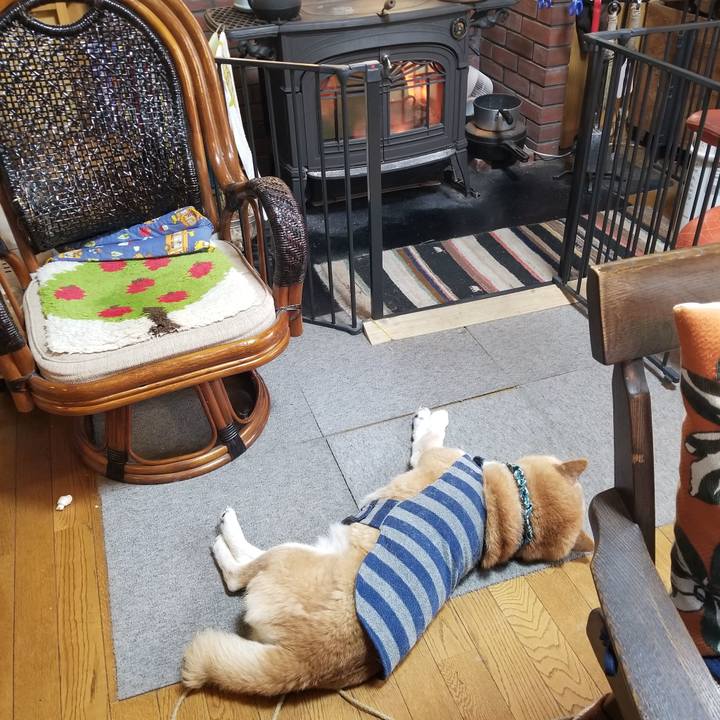 59a038d6 a2b8 4986 adce b50c9b5e2c37 1702944848347