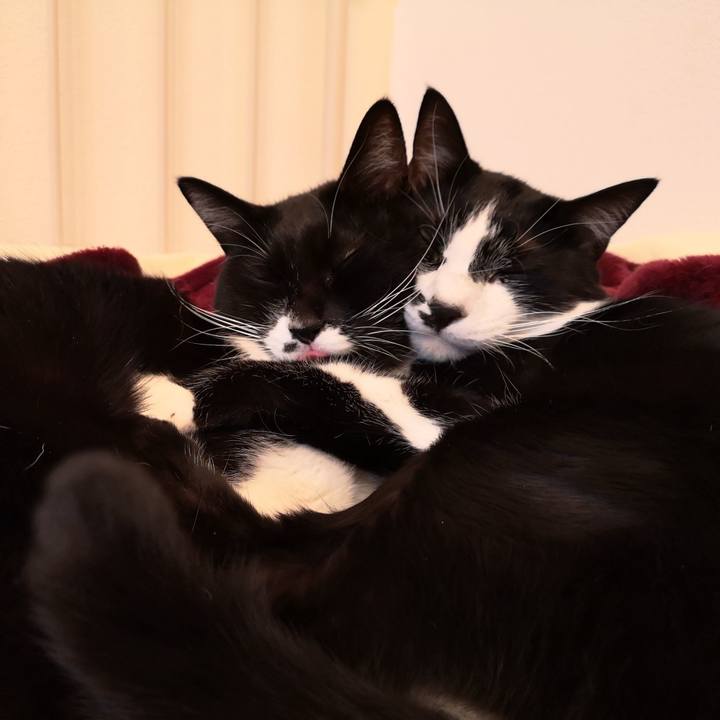 59a062d2 4770 4075 9e9a 05e156825fc5 1544691965507