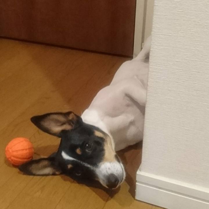 59a068ef f9de 46f8 86ad d8deb7992e16 1548286663915