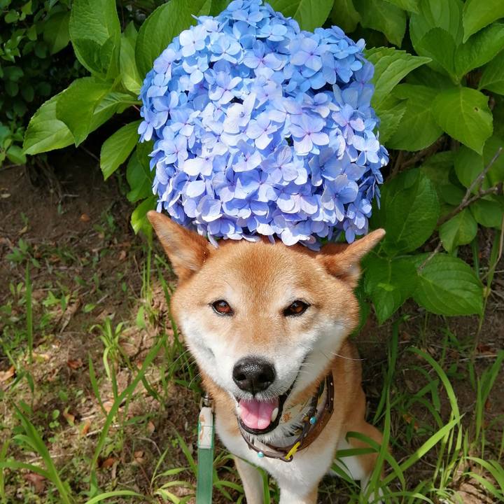 59a0ba14 f533 40b7 ac7f 0f9099d00e1e 1624667788994