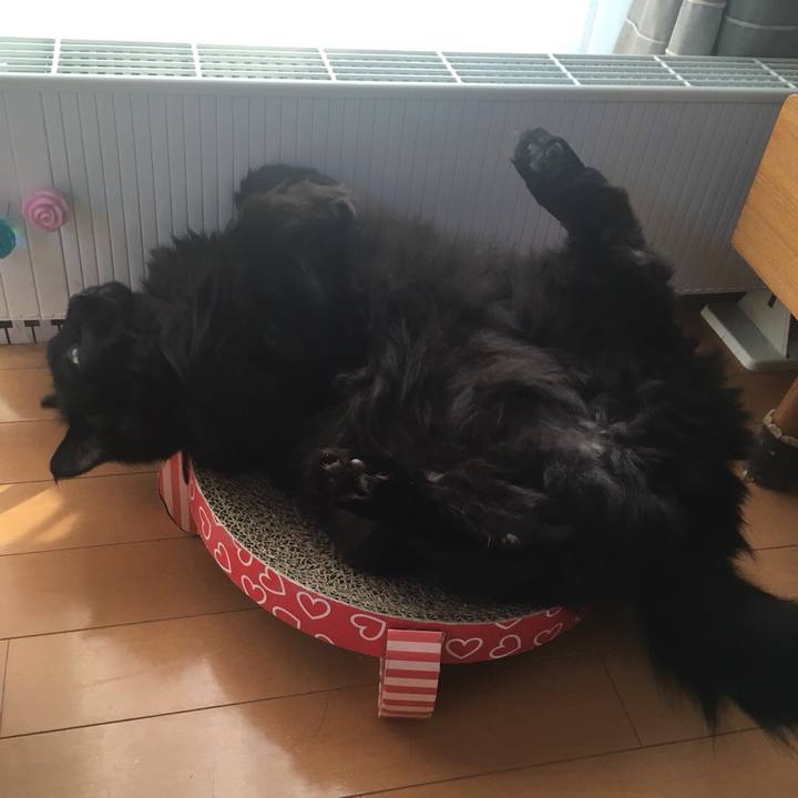 59a0ba6b 9b6b 4b23 99a7 3c30f188dd51 1552900189588