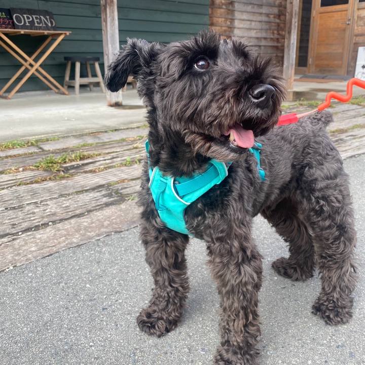 59a0f613 98b5 4102 a6a2 e07b2c387067 1761987187638