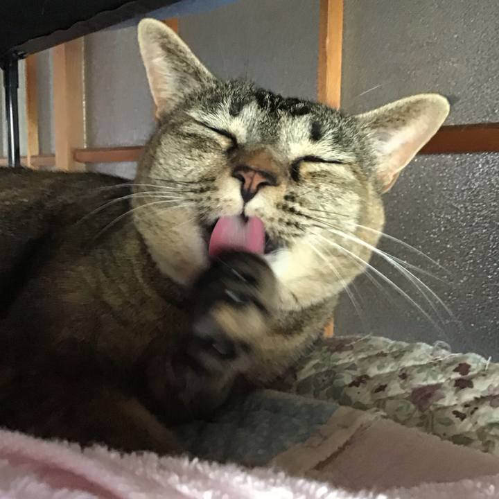 59a0fd1c 9aaa 4033 a749 0d87c6f43545 1684753402158