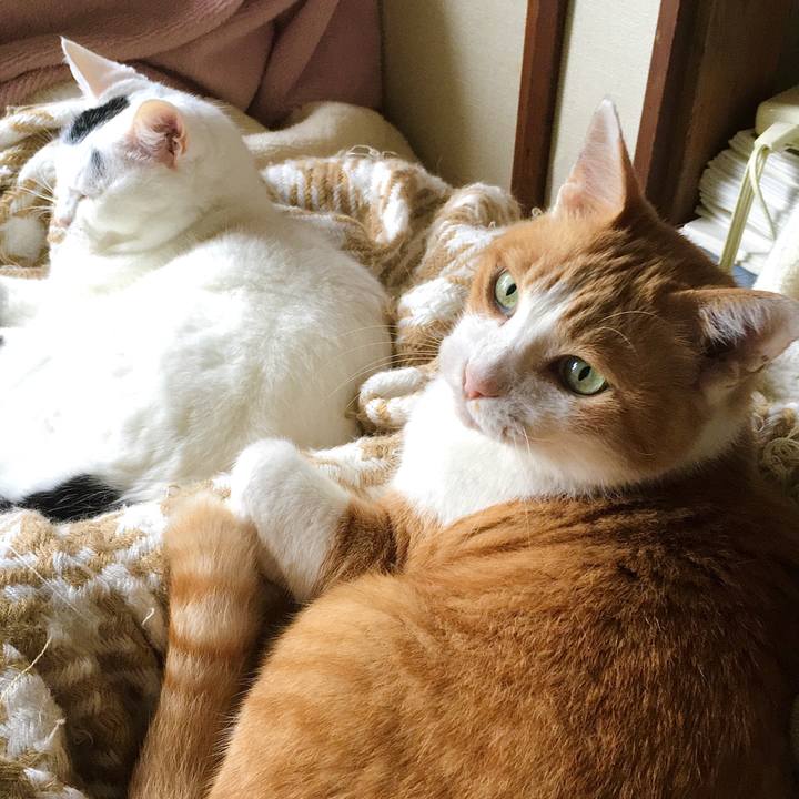 59a10147 4d16 4a09 b7b2 5543625f4eac 1602456790326