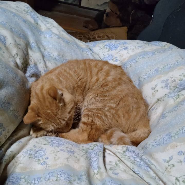 59a1139b 47e4 40e4 bba5 b03b1379244c 1665922138153