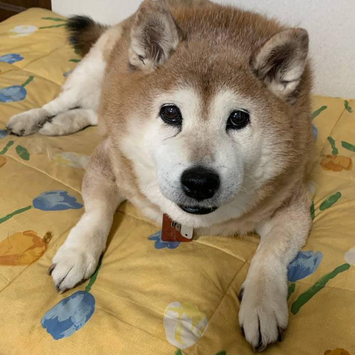 59a1286a 63f1 42c4 880a c290f86400df 1610751437494