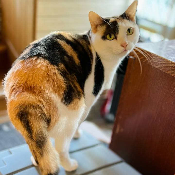 59a16f5e 2b20 435c aff5 1354d9451d69 1640568803827