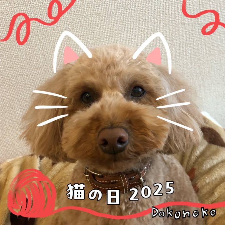 59a1770d 8f20 4236 8d61 e13c2f301990 1740193100701