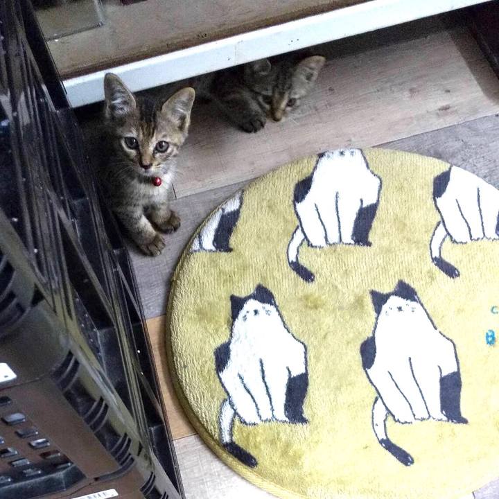 59a17f8d 0751 49b5 990b defce419aebe 1602467169665