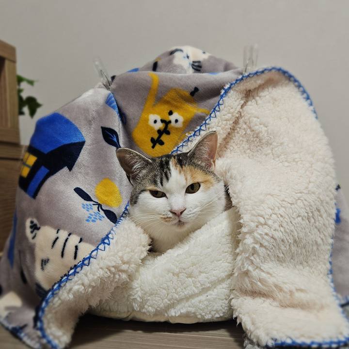 59a19e31 9e86 4459 a41e 43c5cfca88bf 1772023721408