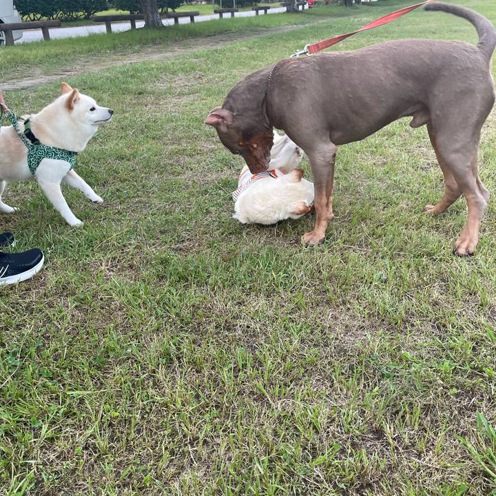 59a1b6d5 acaa 4f44 9442 4b4c153c380c 1659273230762