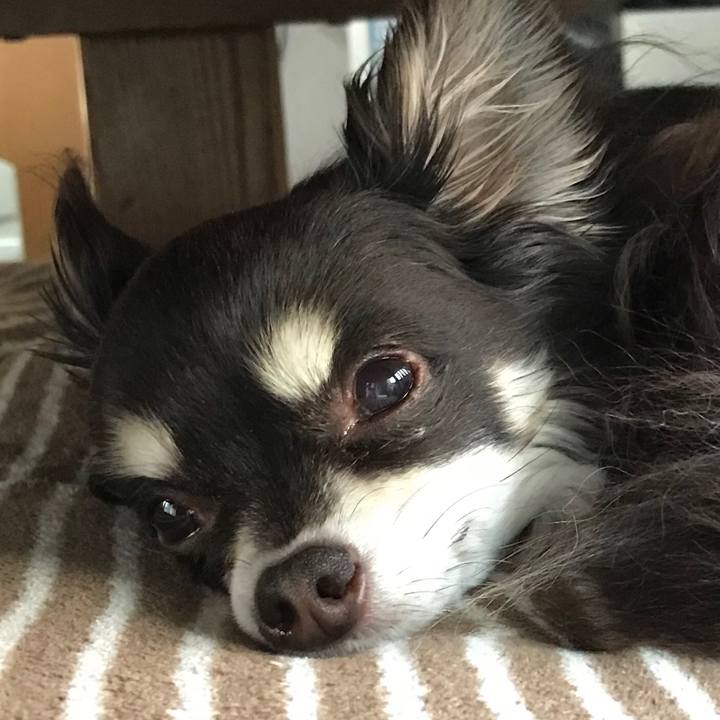 59a1be83 a778 4121 bab3 bc8f03e27264 1523946756382