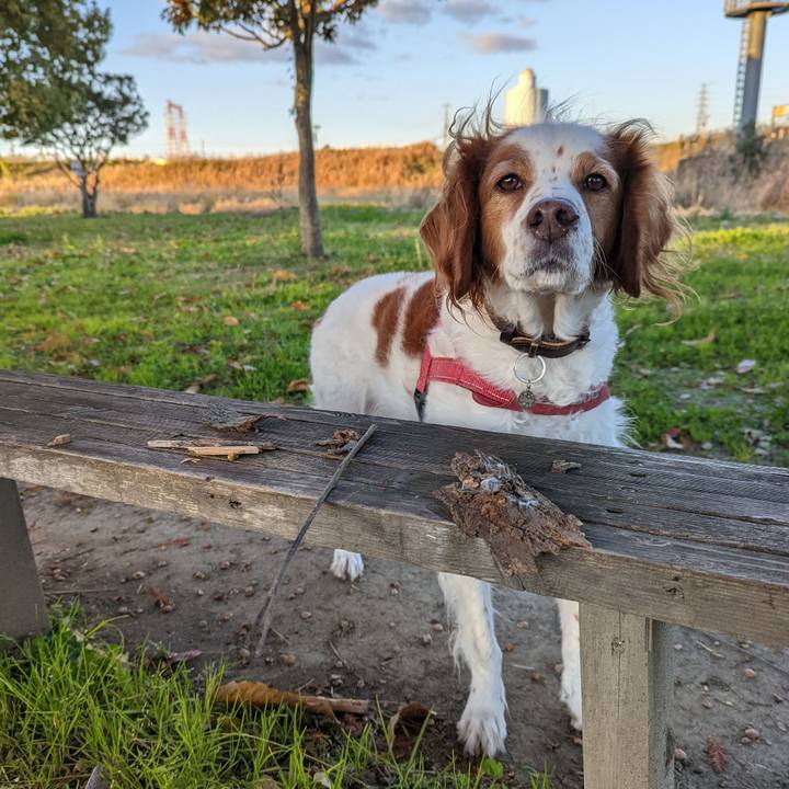 59a1d63b 003e 421a a5b7 b5892d9957d9 1638098885407