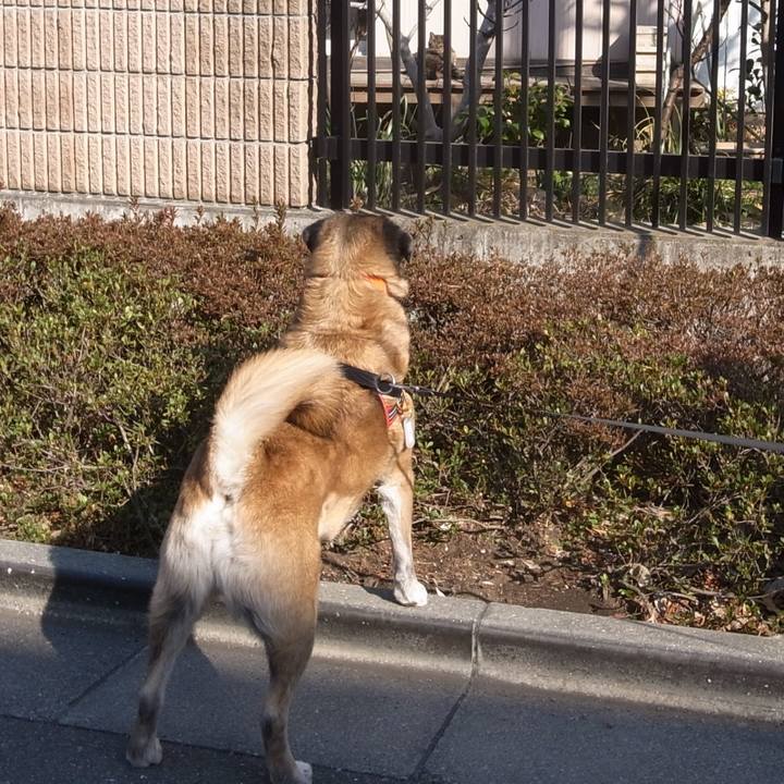 59a1e752 7142 4397 9622 0ee0795bb1d5 1599350477636