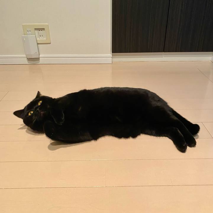 59a1e7f1 1409 45b4 8efa 31dc363ecbc6 1763728933860