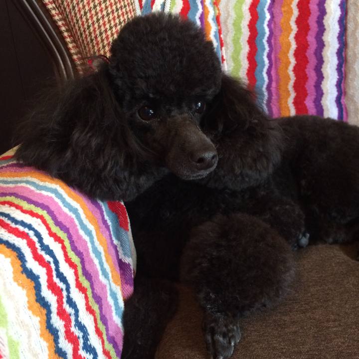 59a22e33 747f 4d4a a0d9 4f2f4a2036d2 1548646538177