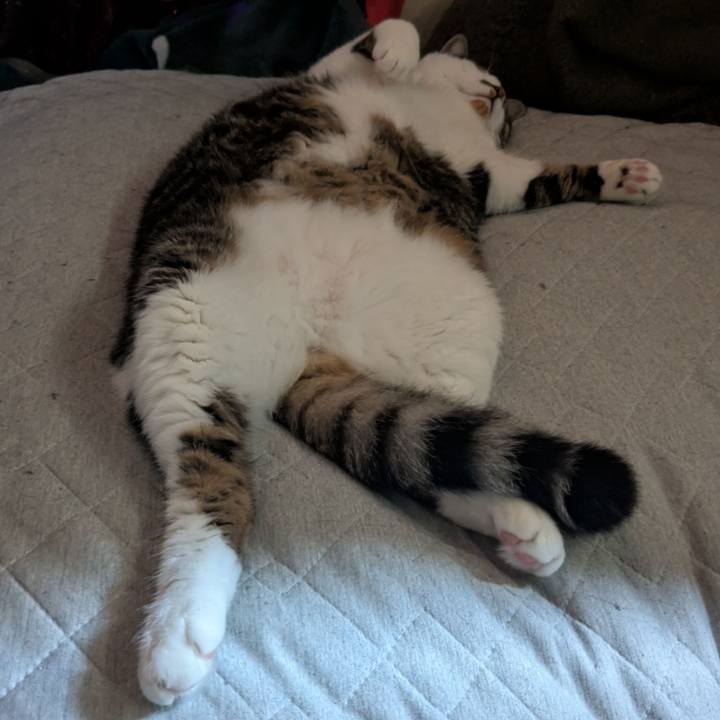 59a24278 4745 474d be68 18aad0c75a28 1753583386742