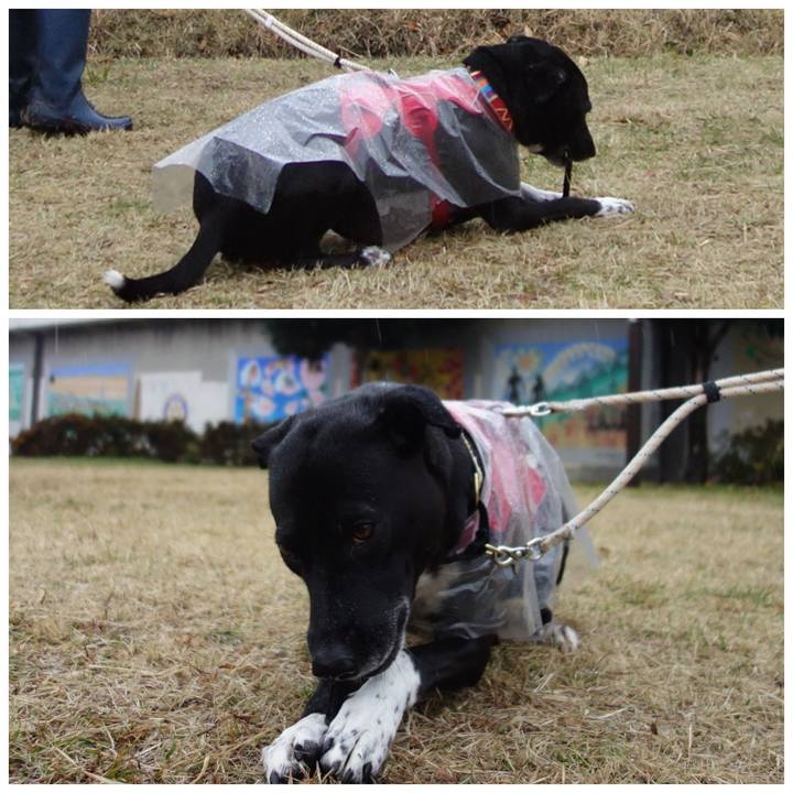 59a252d5 cafa 4011 8ebb dcb6486ac25f 1639698816831