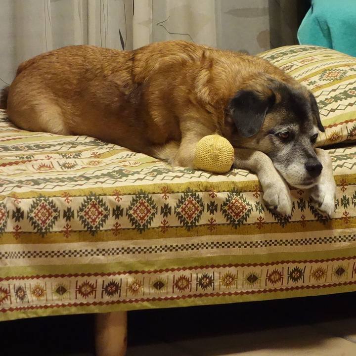 59a28309 91a2 452c a9e6 7603c2262e29 1625703654374