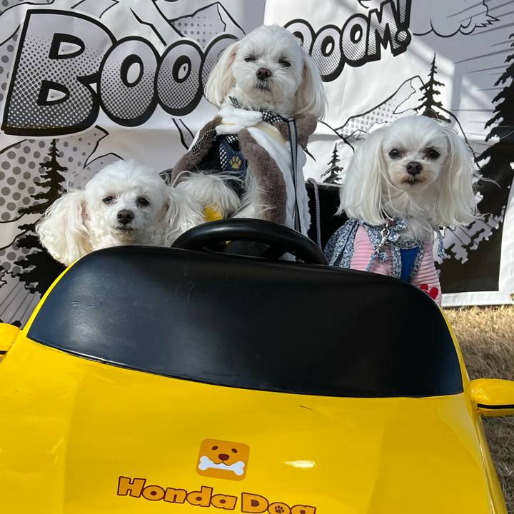 59a28e77 25b3 40db 8746 e002500243ca 1700916209110