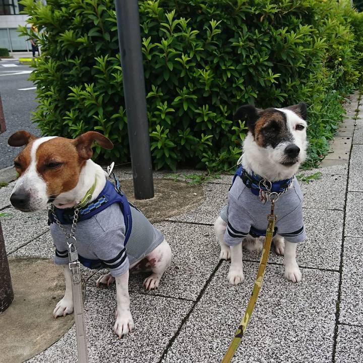 59a29772 957a 46ad 91e7 792df1e654e9 1593211436608