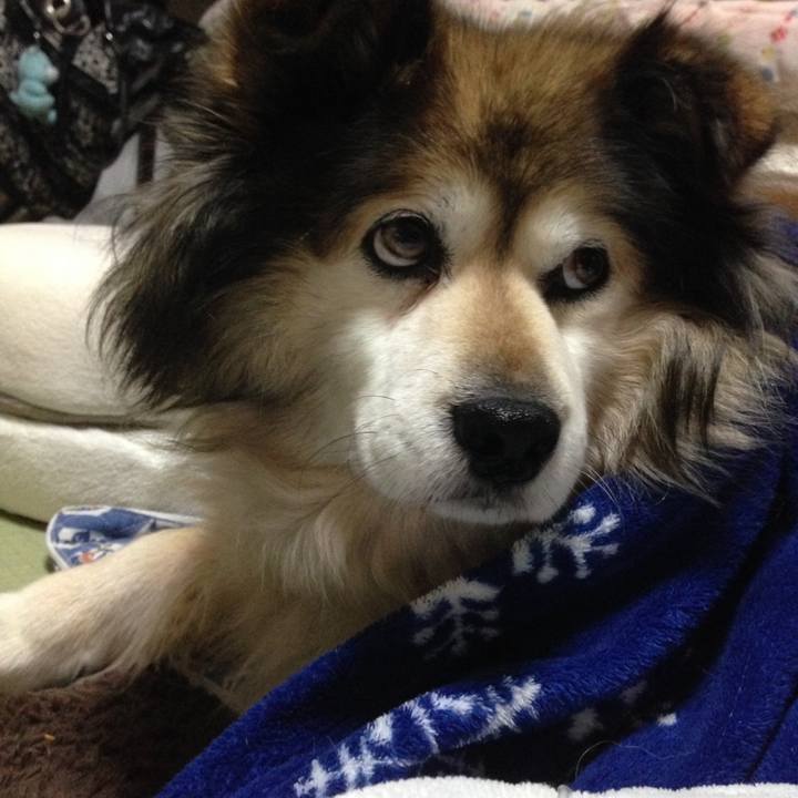 59a2afbc 8193 451d ab4d 579468b92eec 1588568080718