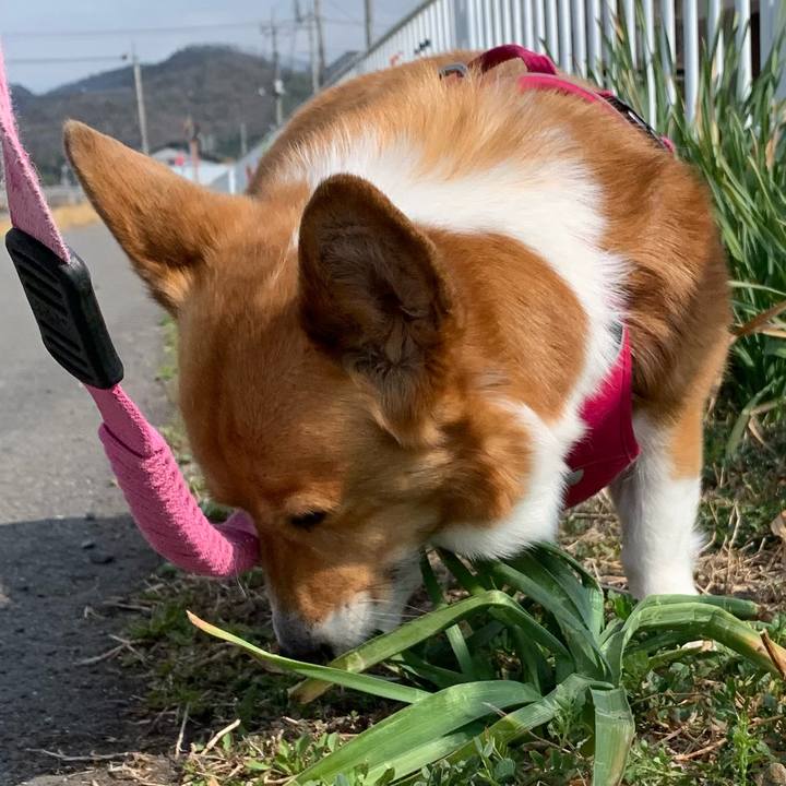 59a2b9d0 99a2 49d4 acc5 11fedc11d50e 1679020710112