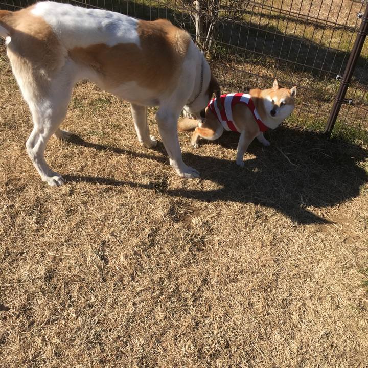 59a2d8e9 e76e 4e07 a054 a51789fa0baf 1548571922551