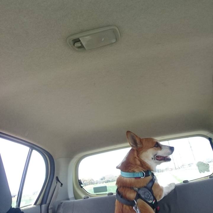 59a2f19b 6e52 4f61 9bf6 dc30e4c98c54 1648782717130