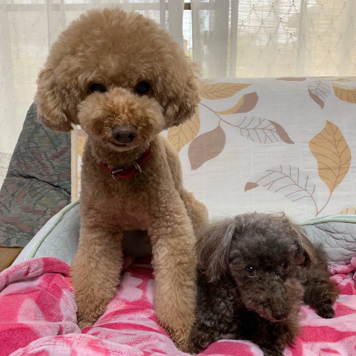 59a2f72a 53dc 4997 9897 eb512fb67a62 1562020829246