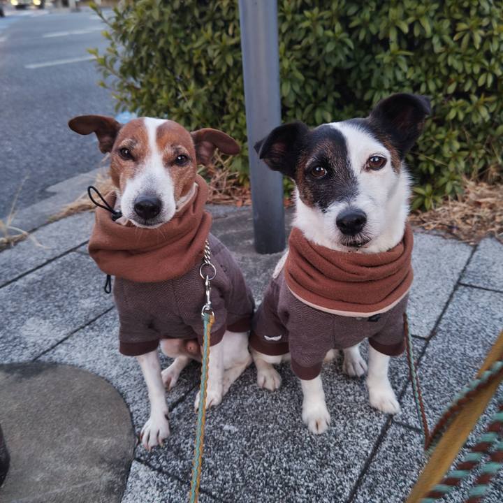 59a2ffd1 05e1 443e 88a2 eeb514c6892f 1739137188540