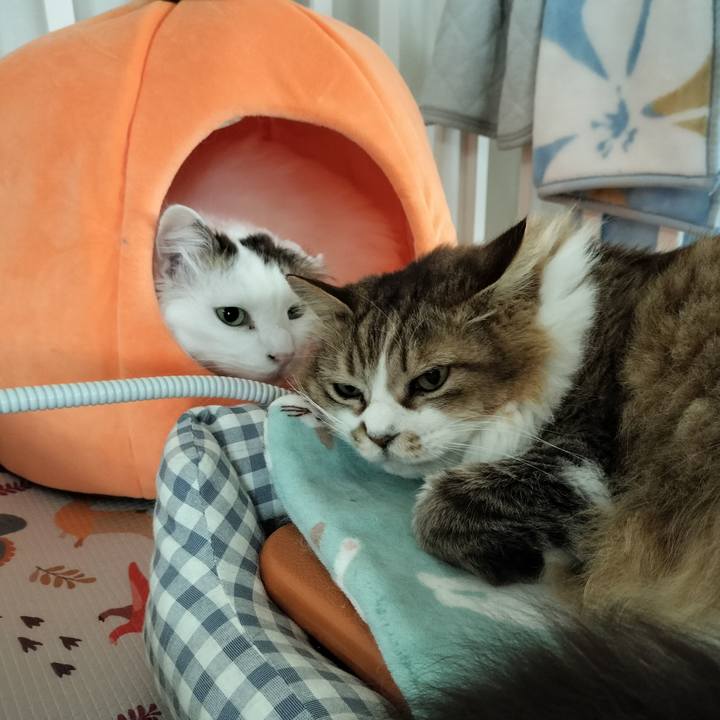 59a31cf6 7242 4a98 a68e 82e573c34d12 1773227396255