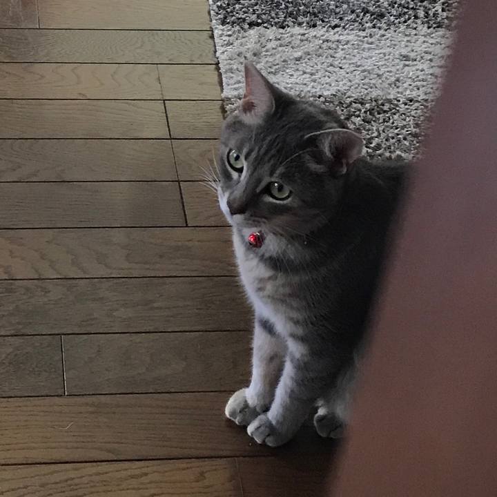 59a34c6a 5777 44e3 97c5 1fb3638a3541 1597631302074