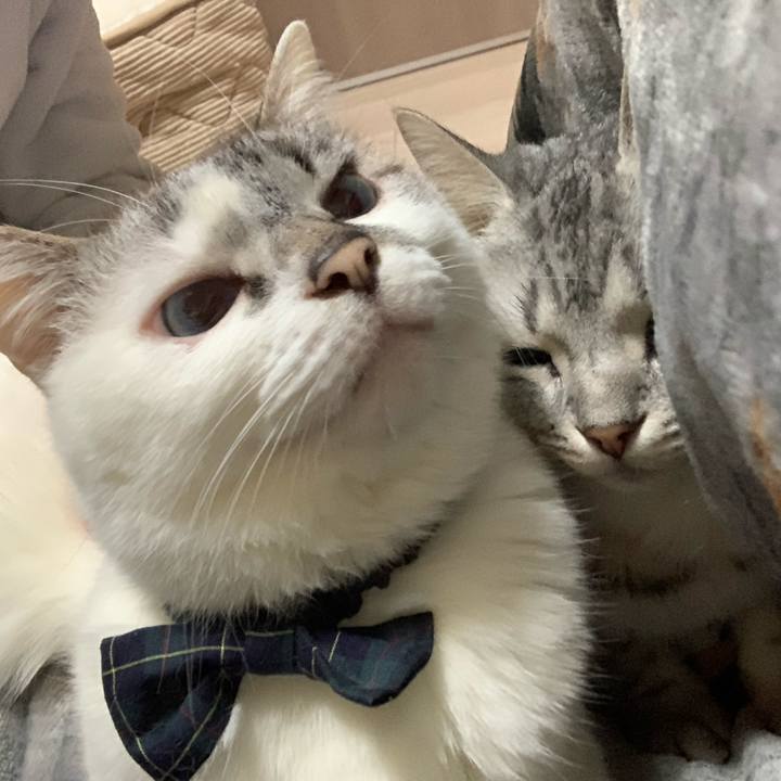 59a367b9 06bd 43a0 8dd2 98e5ce8a4883 1583754758435