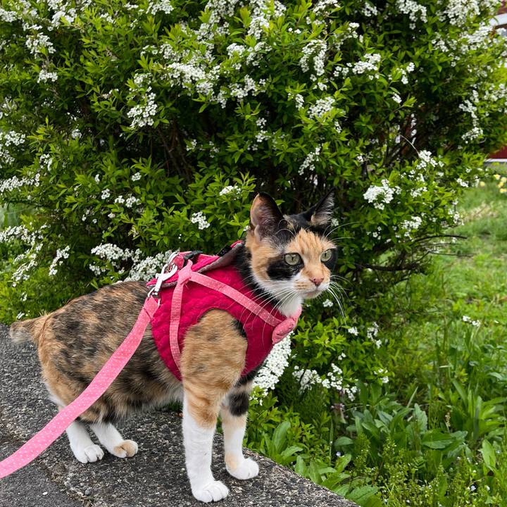 59a37f23 07f5 464f a8b3 c606e7319f85 1650925660463