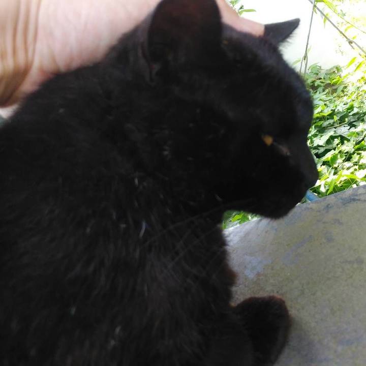 59a3888f 1b88 4a93 b0c4 5abda63bbff4 1623369035442