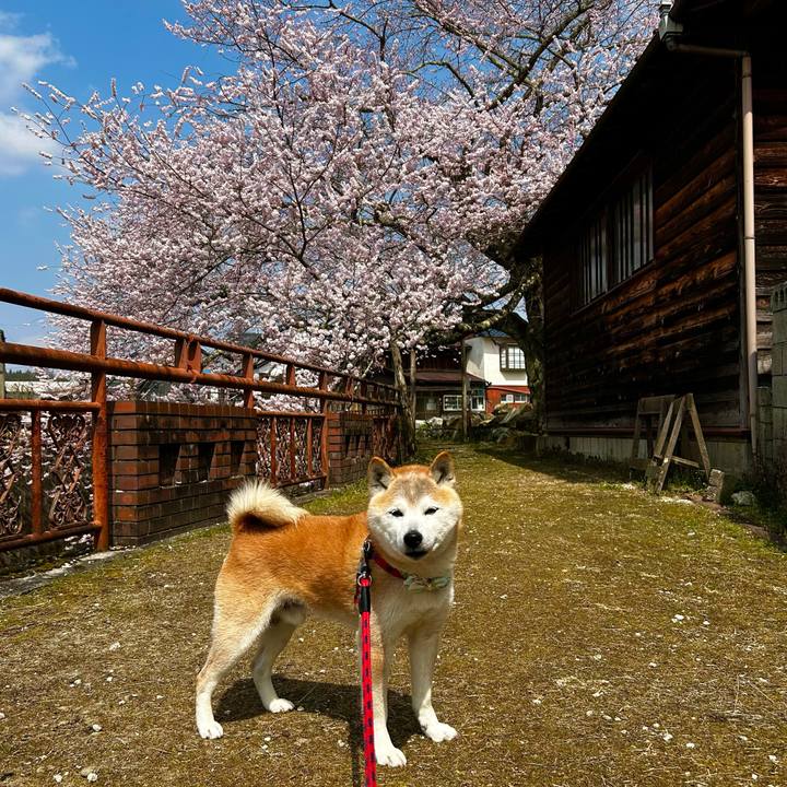 59a3b0db 79e1 4baf 90e5 cf5005e5b2c3 1774695660616