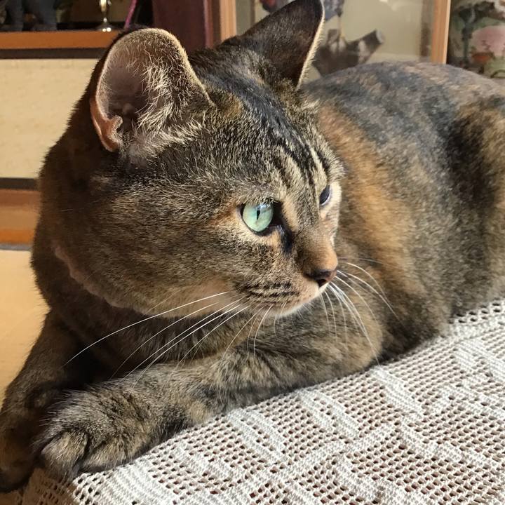 59a3cdbb 7702 45b1 9d38 76ffb4ef4888 1721373661398