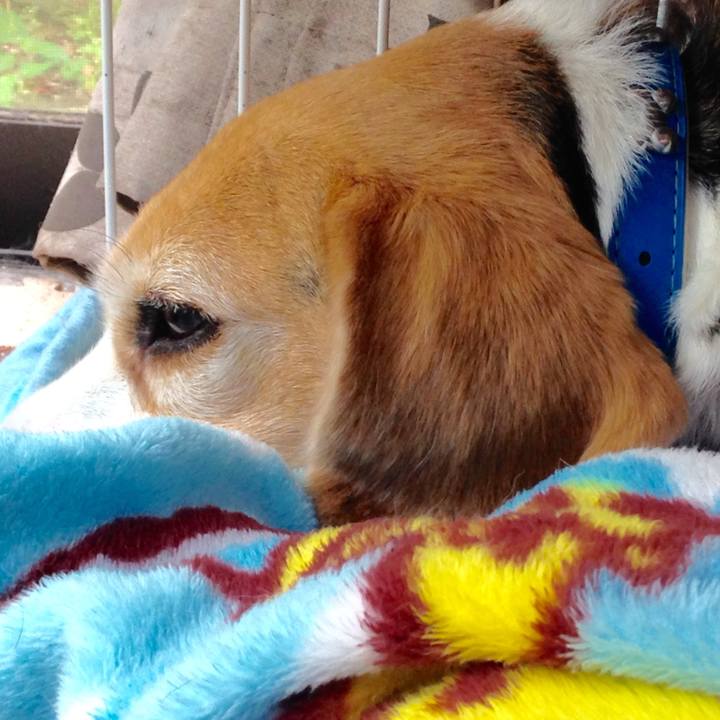 59a3df65 3c49 49a1 b566 84d3ed1c7dc7 1749254001098