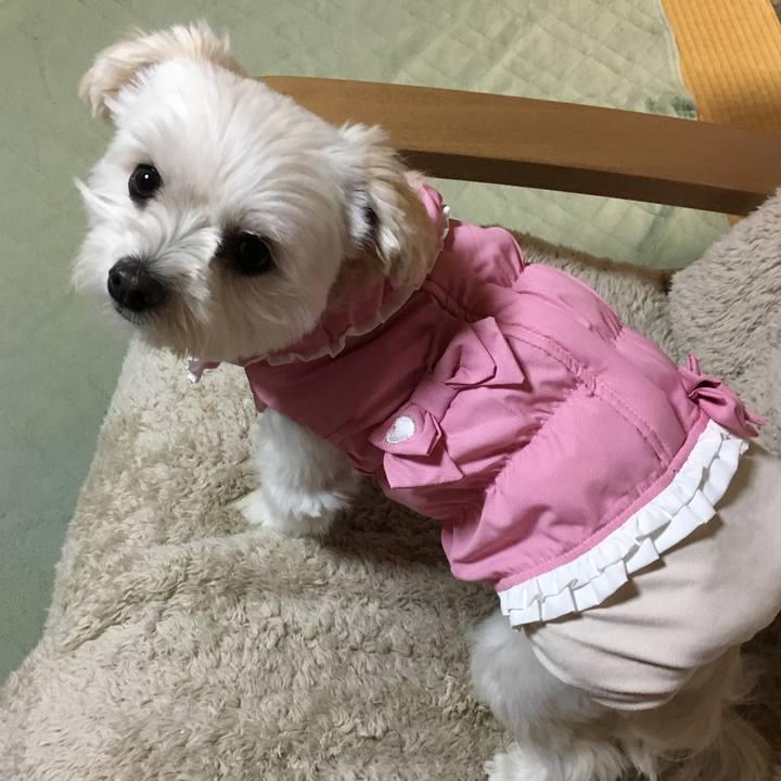 59a3e221 9bd2 4b83 bac8 fa1766e4e220 1510389644479