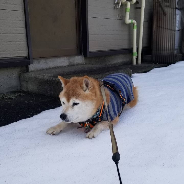 59a3f02a 8ee8 4724 a277 679b0e96b400 1707534251290