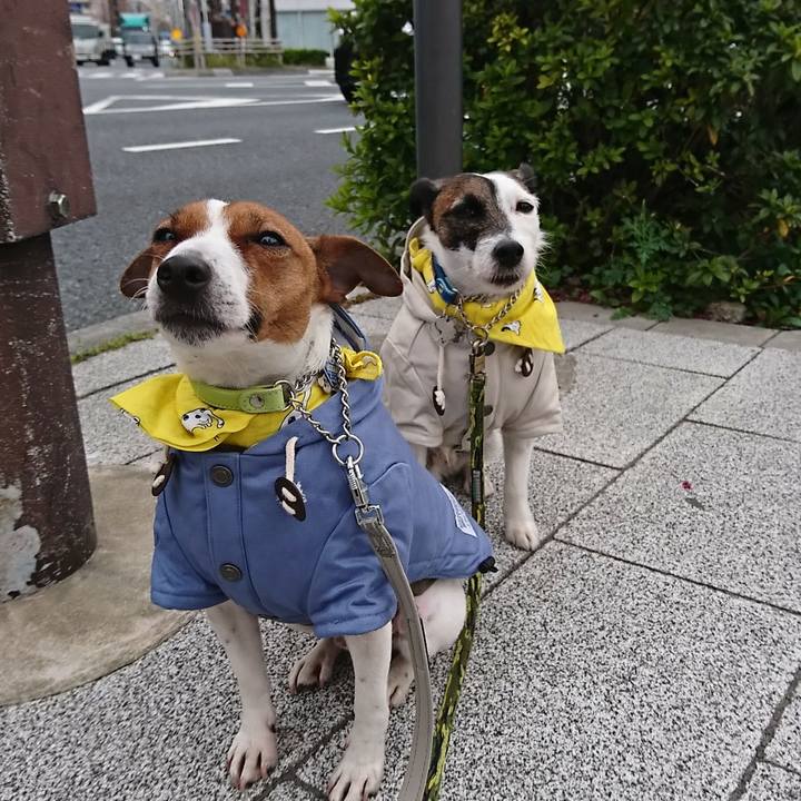 59a41e8f 9856 4dc6 9107 52dadf7f855c 1553810871769