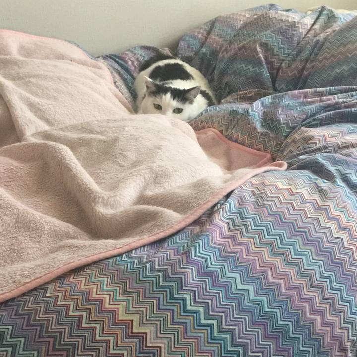 59a477a9 f01f 493f a181 2af477a8d23e 1513639560304