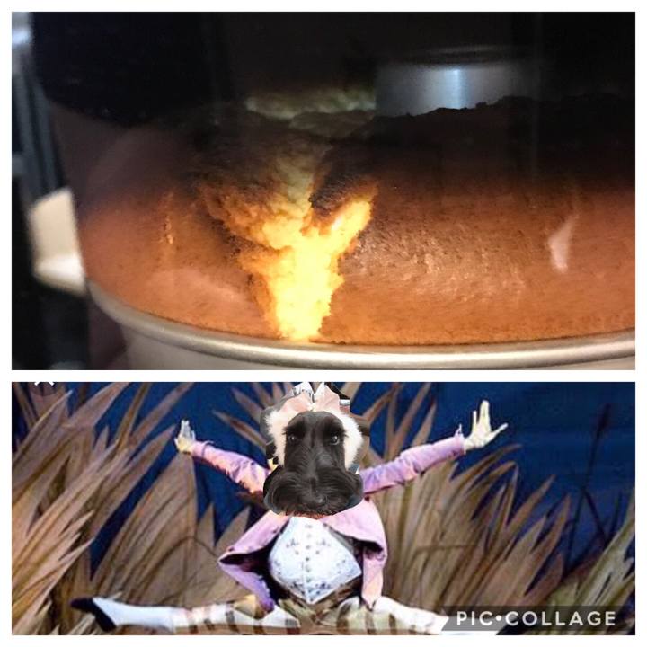 59a4d8e3 3c77 4280 83a4 19ba65001655 1571322283039