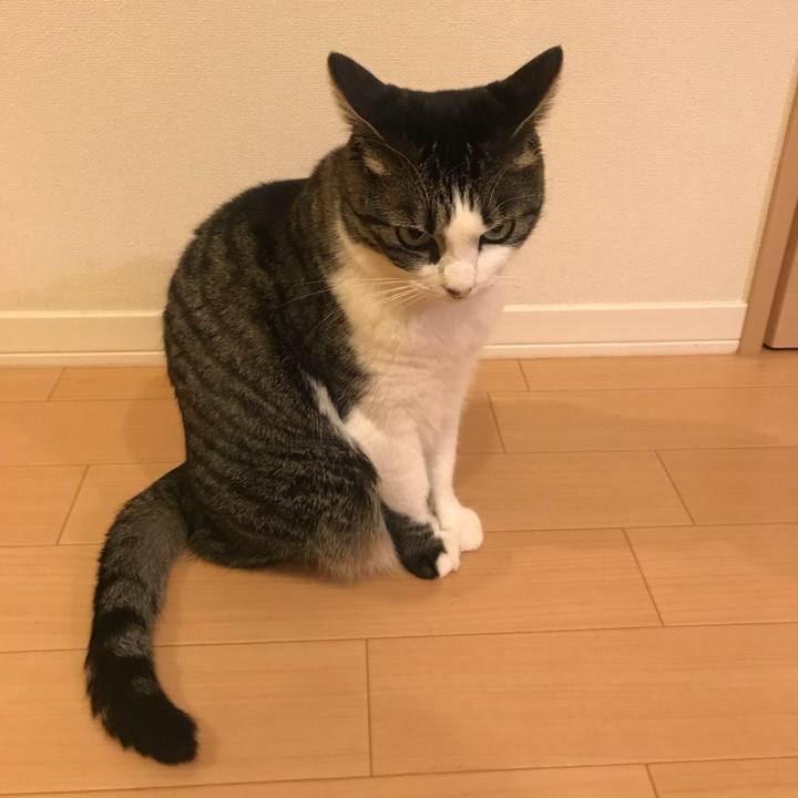 59a4f983 3911 4064 a600 ac1074d0fad4 1540814740918